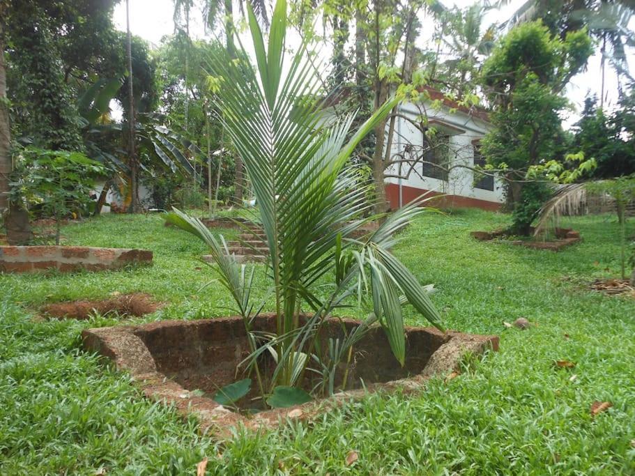 Runnin Airport - Homestay Gurpur Luaran gambar