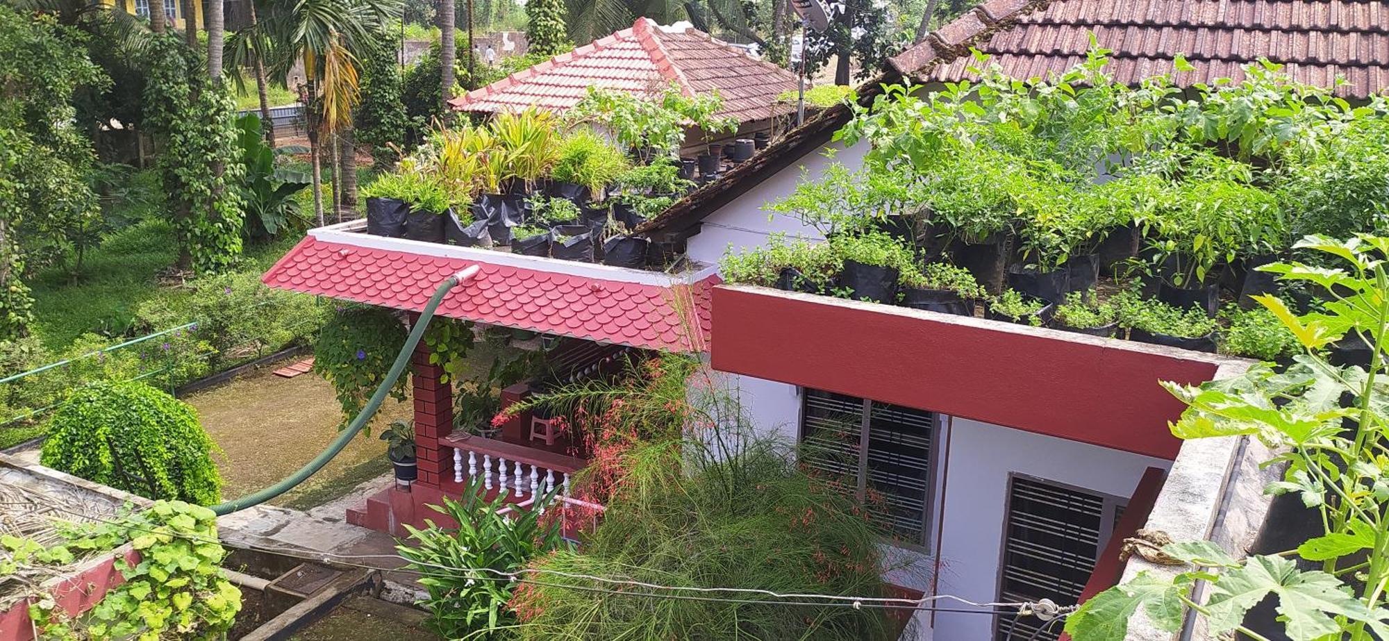 Runnin Airport - Homestay Gurpur Luaran gambar