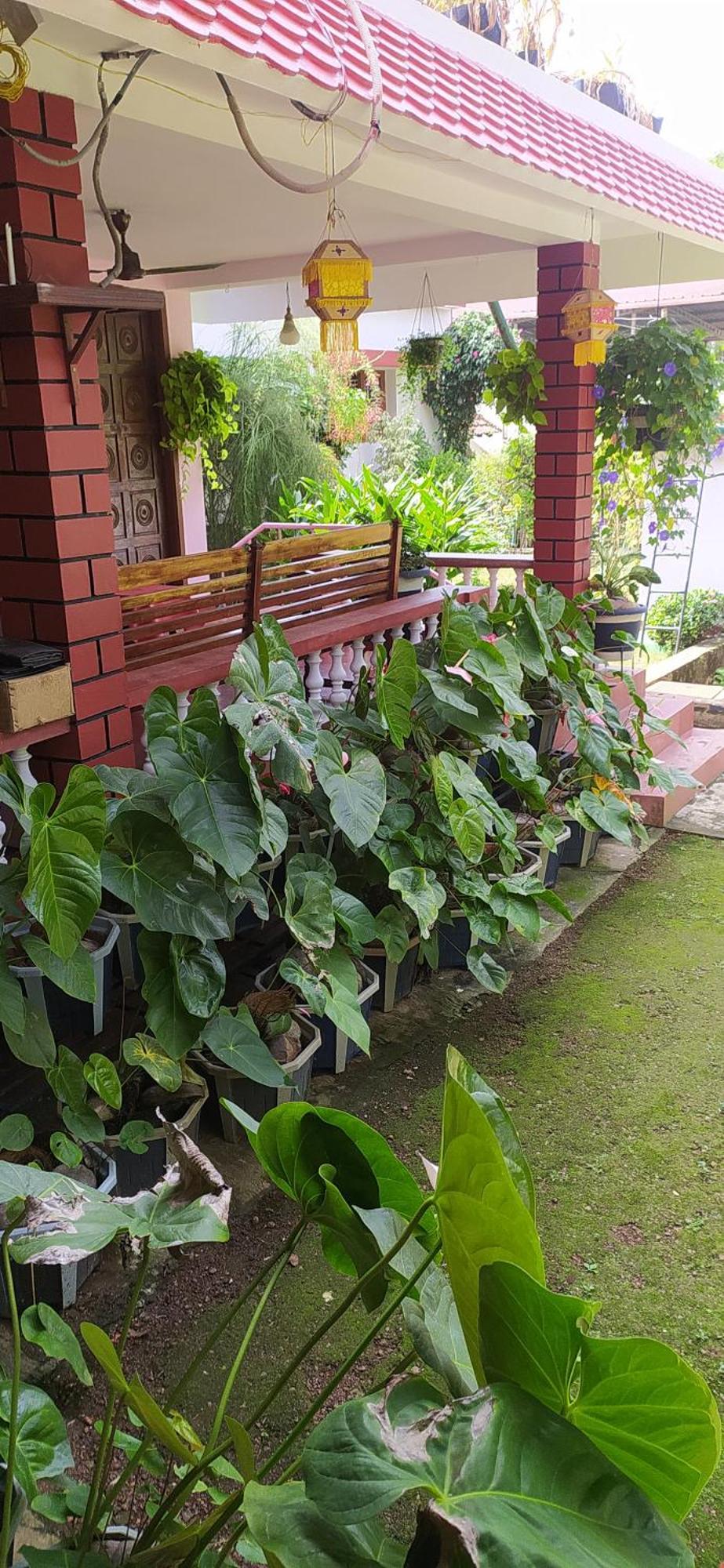 Runnin Airport - Homestay Gurpur Luaran gambar