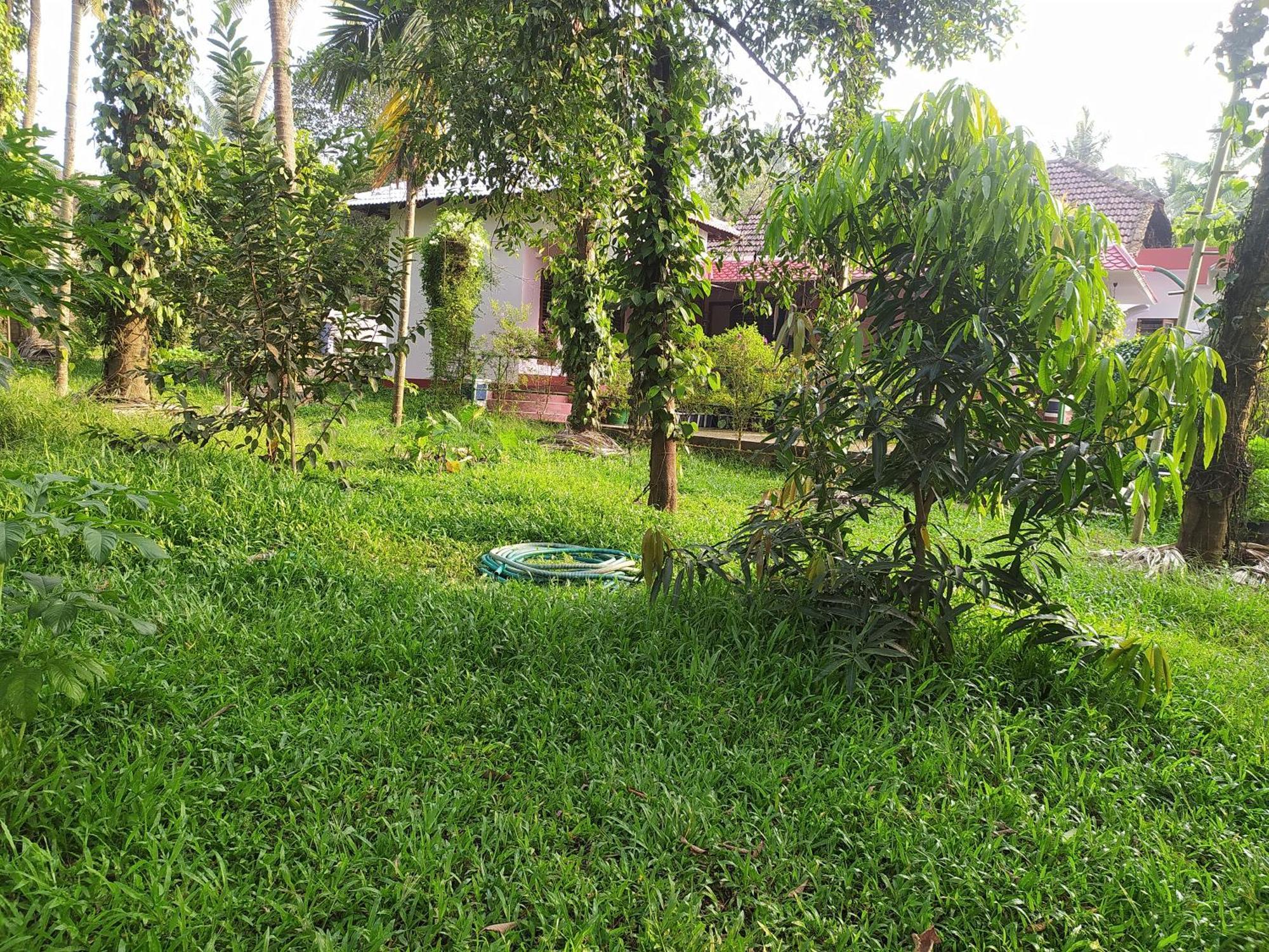 Runnin Airport - Homestay Gurpur Luaran gambar